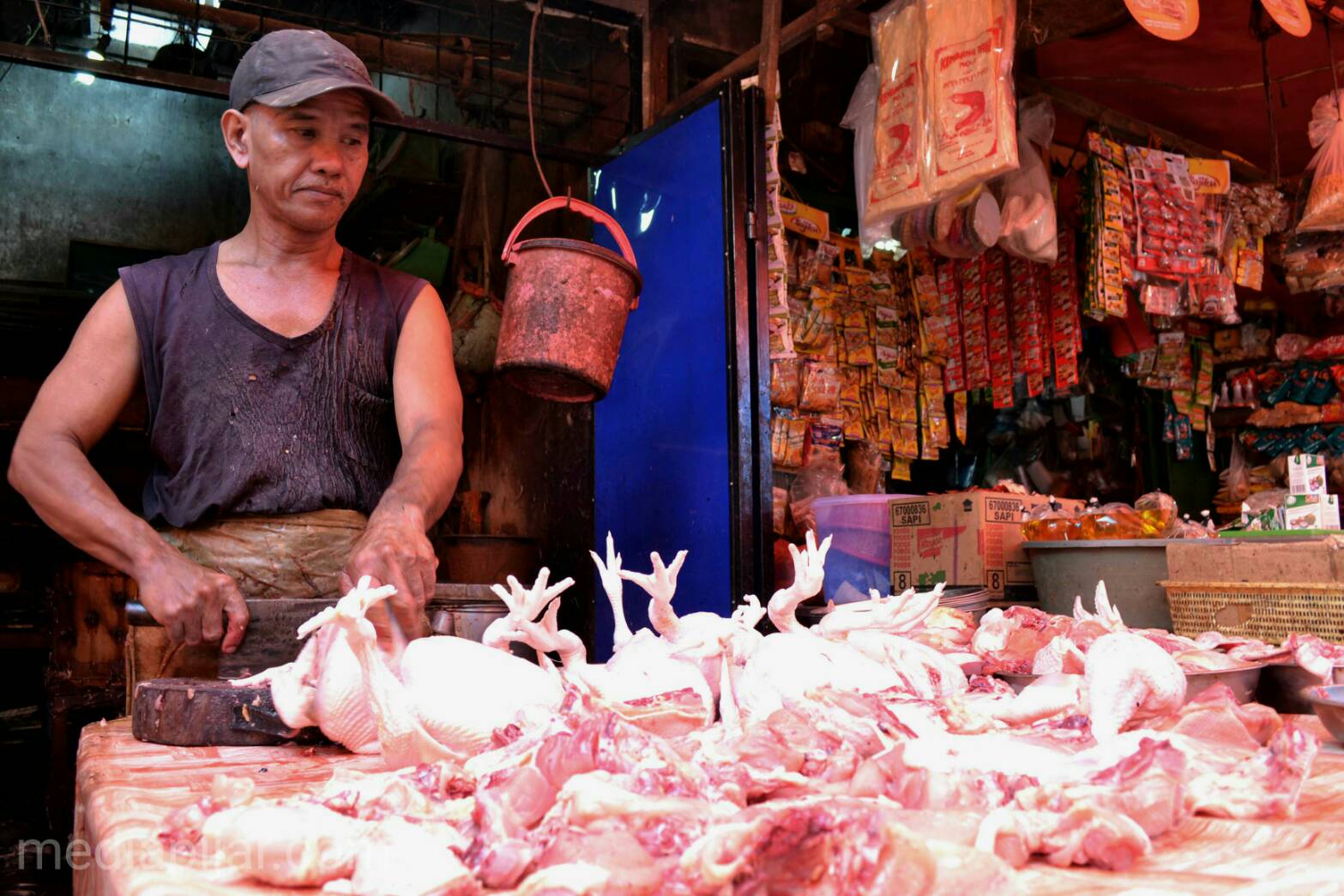 Hidup dari daging ayam. (Fotografer : Novita Arum)