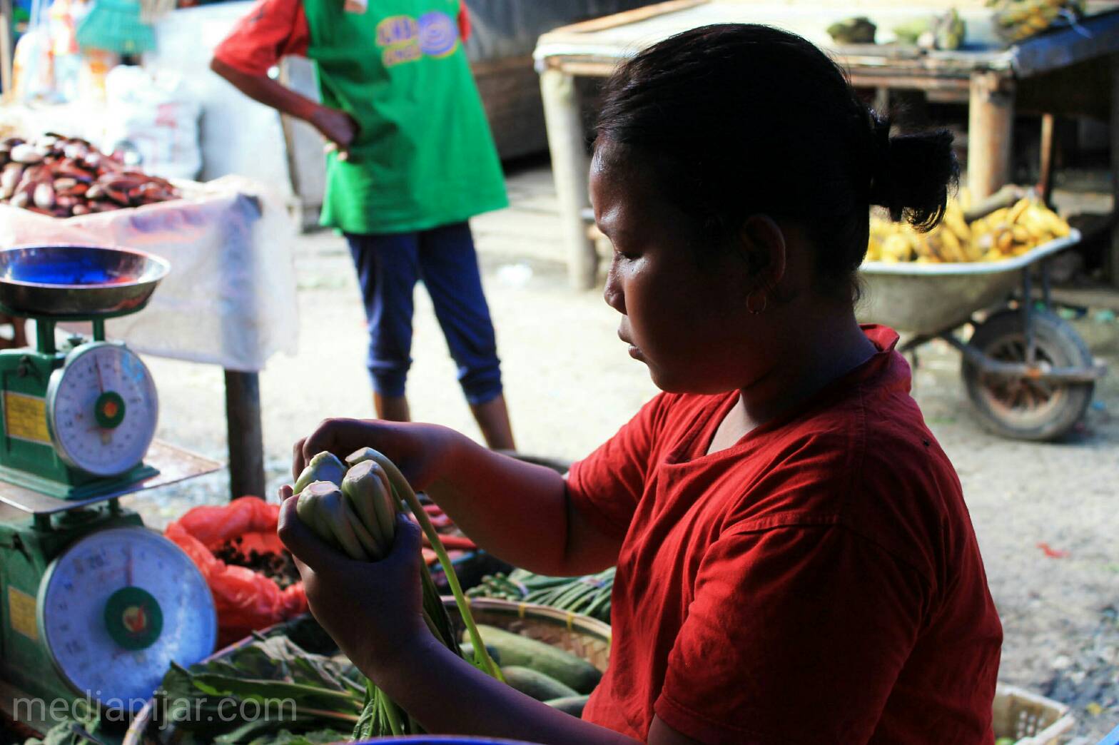 Sikecil yang berbakti. (Fotografer : Yasmin Nabilah)